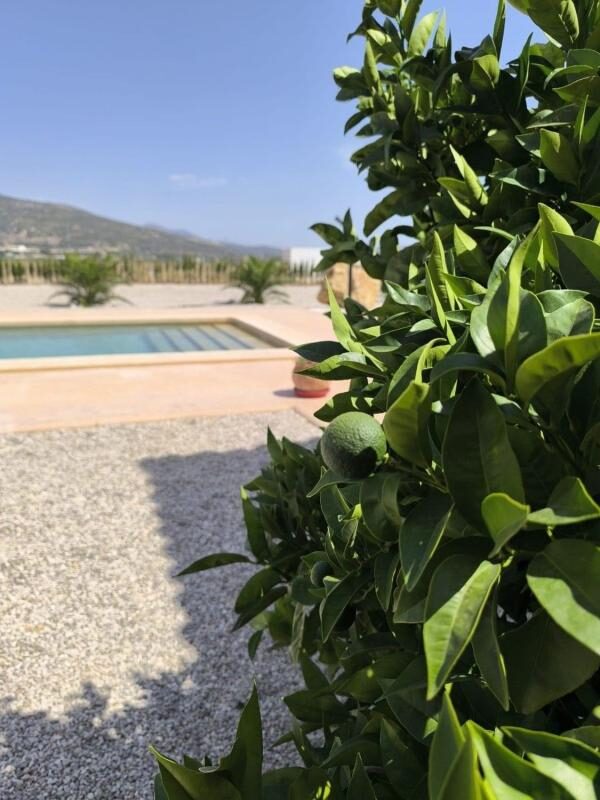 Villa with 3 bedrooms, 127m² in Pinoso, Spain [ID: 0152-565078]