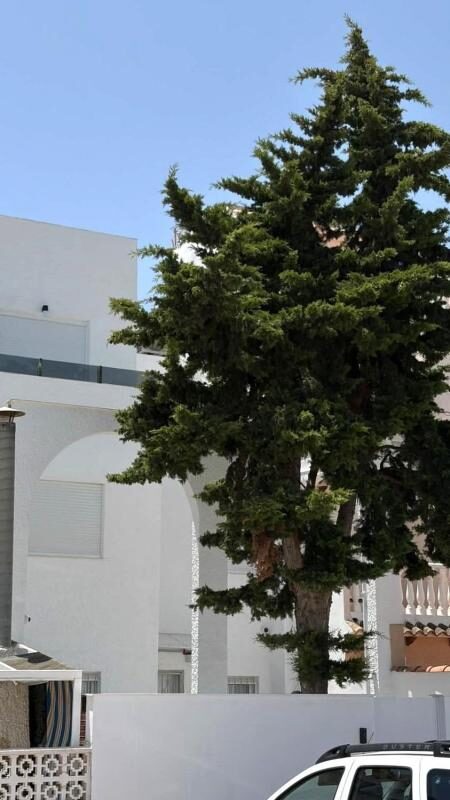 Townhouse with 3 bedrooms, 70m² in Torrevieja, Spain [ID: 0152-553689]