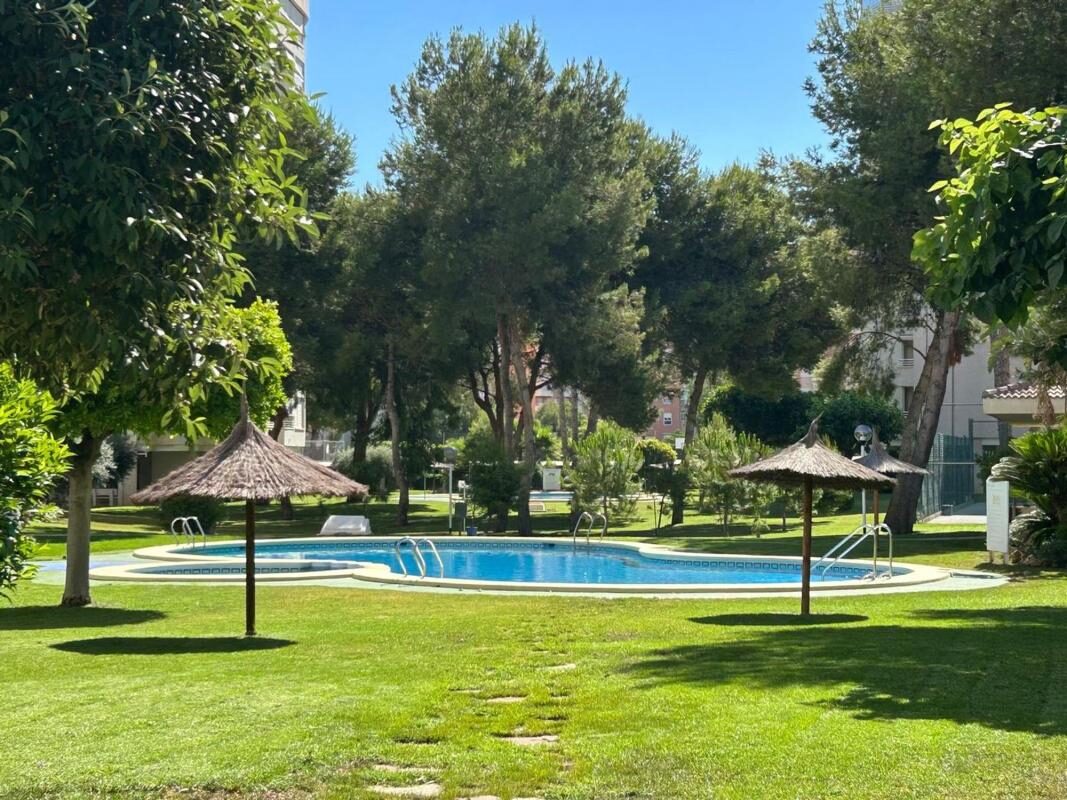 Apartments with 3 bedrooms, 94m² in Alicante, Spain [ID: 0152-553618]