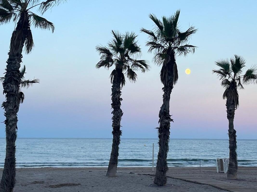 Apartments with 3 bedrooms, 94m² in Alicante, Spain [ID: 0152-553618]