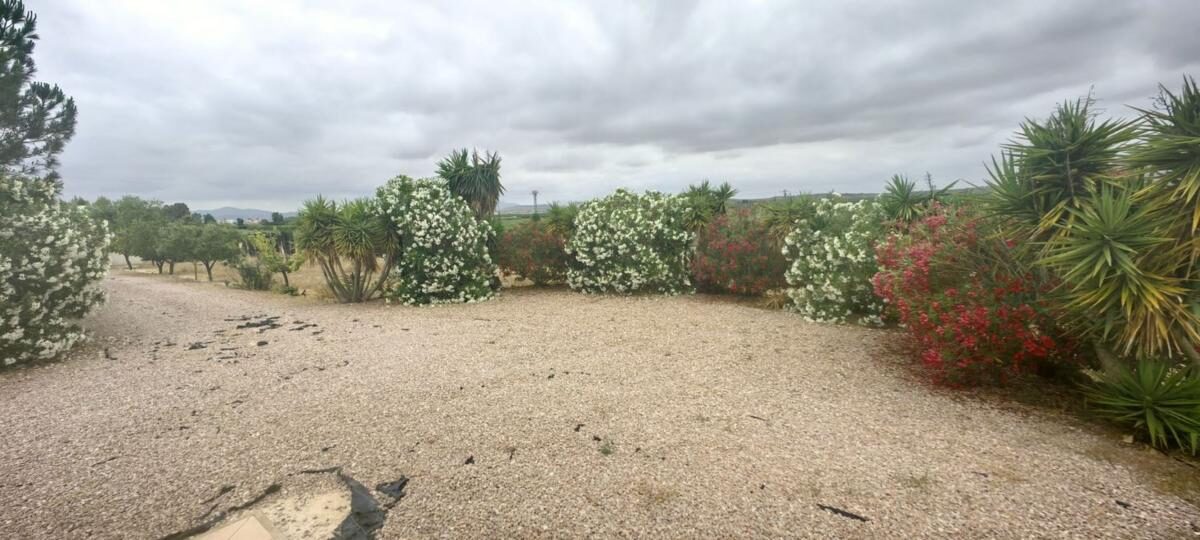 Villa with 3 bedrooms, 179m² in Pinoso, Spain [ID: 0152-527578]
