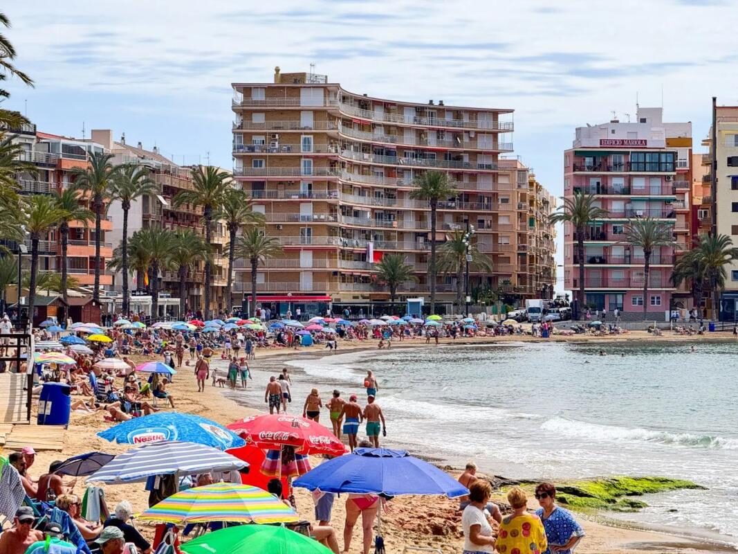 Apartamenty z 2 sypialniami, 55m² w Torrevieja, Hiszpania [ID: 0152-526333]