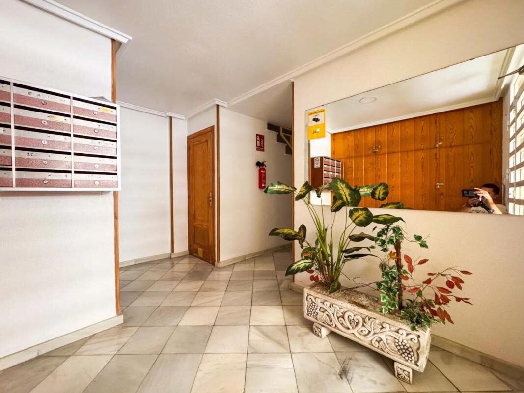 Apartamenty z 2 sypialniami, 55m² w Torrevieja, Hiszpania [ID: 0152-526333]