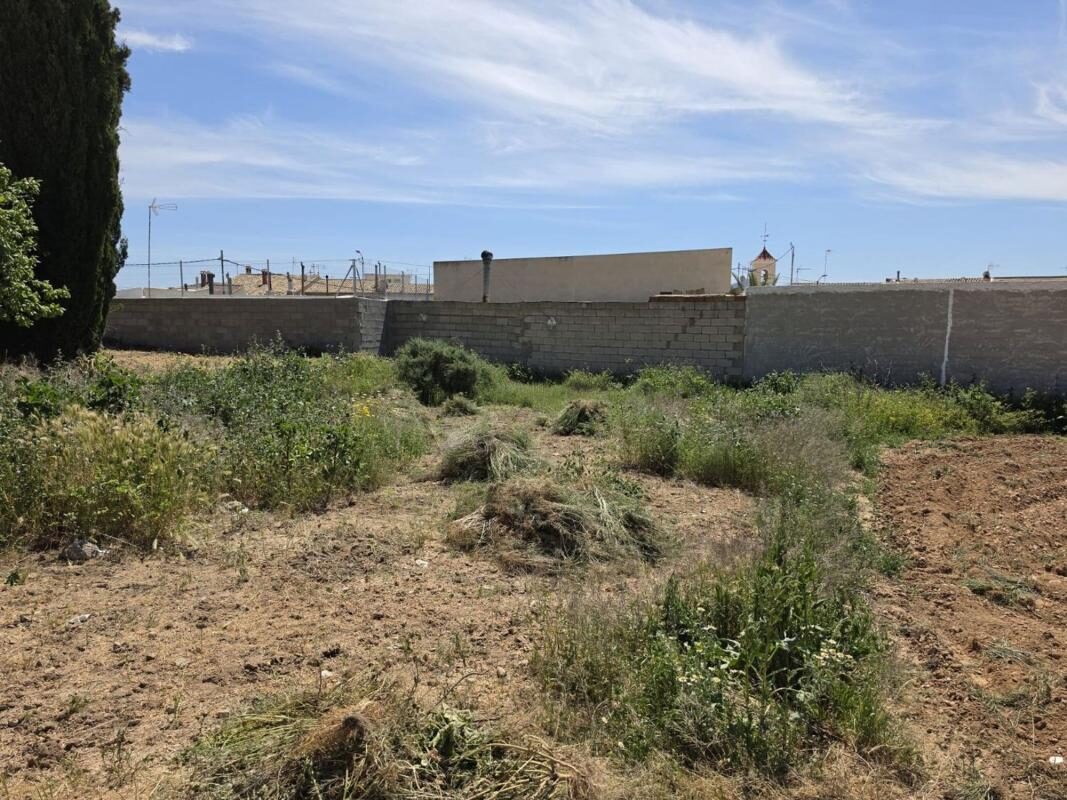 Land in Hondon de las Nieves, Spain [ID: 0152-523795]