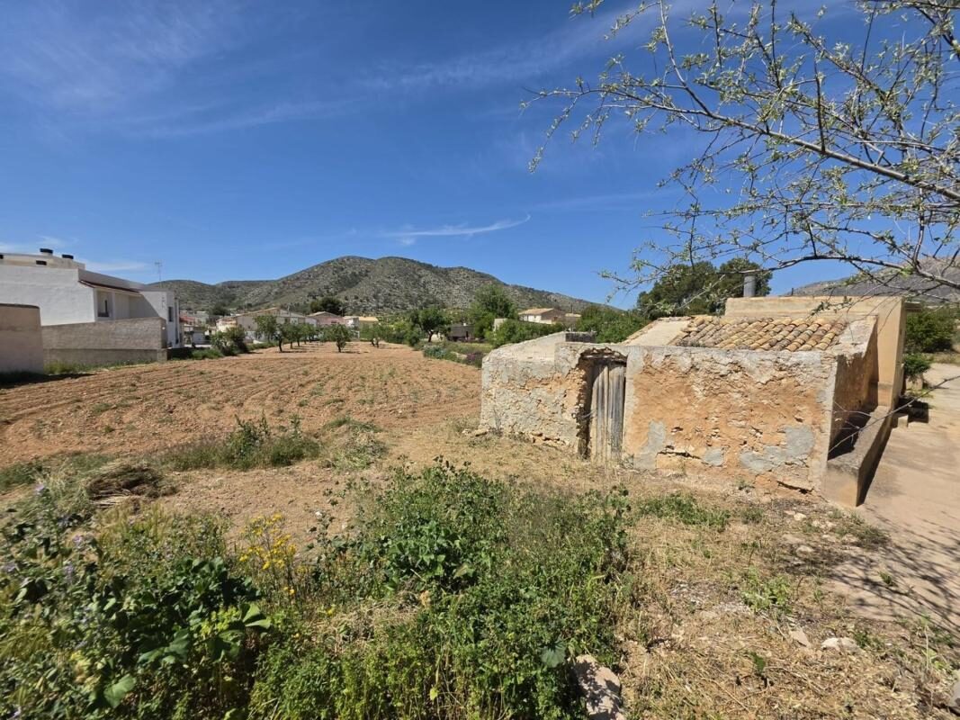 Land in Hondon de las Nieves, Spain [ID: 0152-523795]