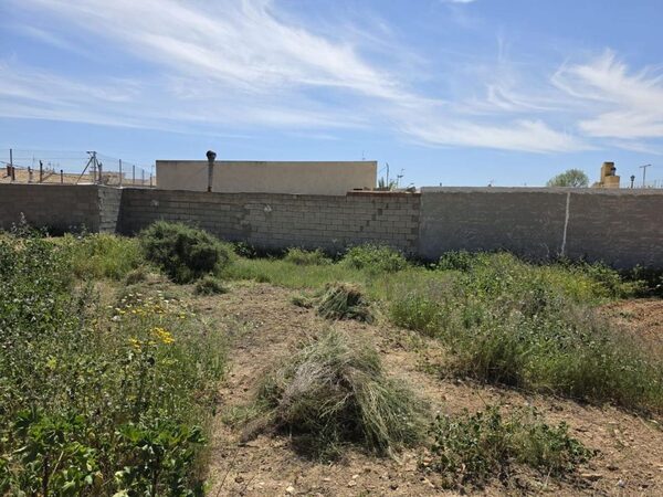 Land in Hondon de las Nieves, Spain - image 5