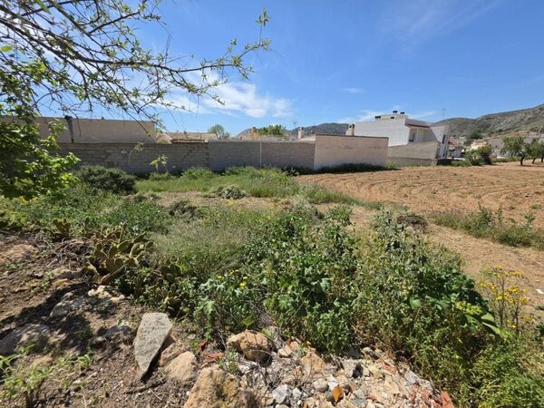 Land in Hondon de las Nieves, Spain - image 4