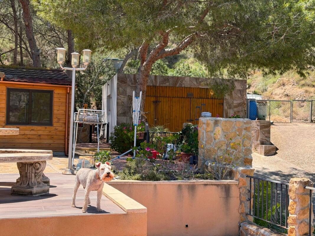Houses with 2 bedrooms, 100m² in Orihuela, Spain [ID: 0152-522692]