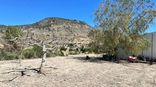 Houses in Relleu, Spain, 155m² - image 5