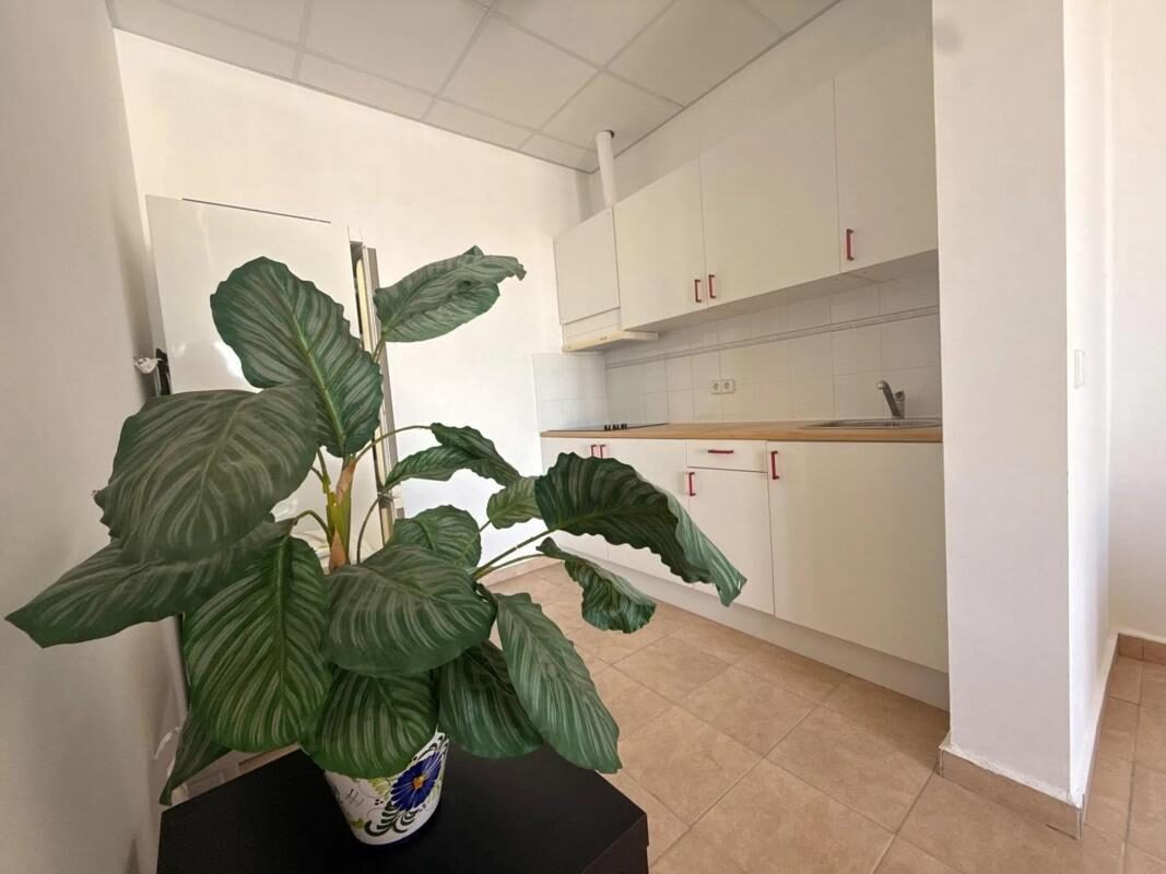 Вилла с 4 спальнями, 384м² в Кальпе, Испания [ID: 0152-512399]