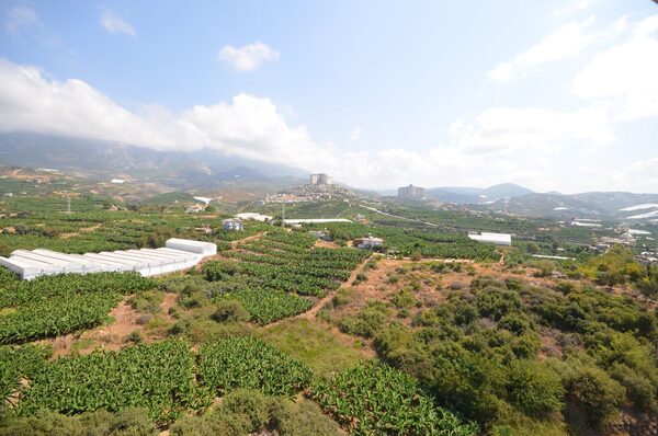 Apartament w Alanya, Turcja, 48m² - obraz 15
